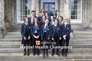 Image of mental health champions
